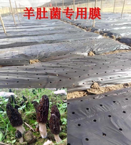 Agricultural mulch film black silver and black perforated weed-proof insect-proof thermal insulation and moisturizing free customization