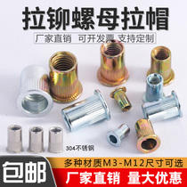 Pull rivet nut Flat head size countersunk head 3M4M5M6M8M10M12 Anchoring 304 stainless steel screw nut Daquan