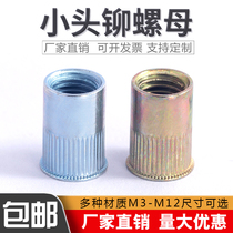 Pull rivet nut Small head pattern rivet nut countersunk rivet nut Plated color zinc blue white zinc M3M4M5M6M8M10M12