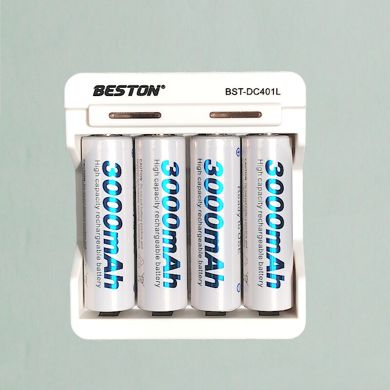Shipped on February 10 - Four AA NiMH Rechargeable Batteries Plus Charger Set - Pet Water Dispenser Available