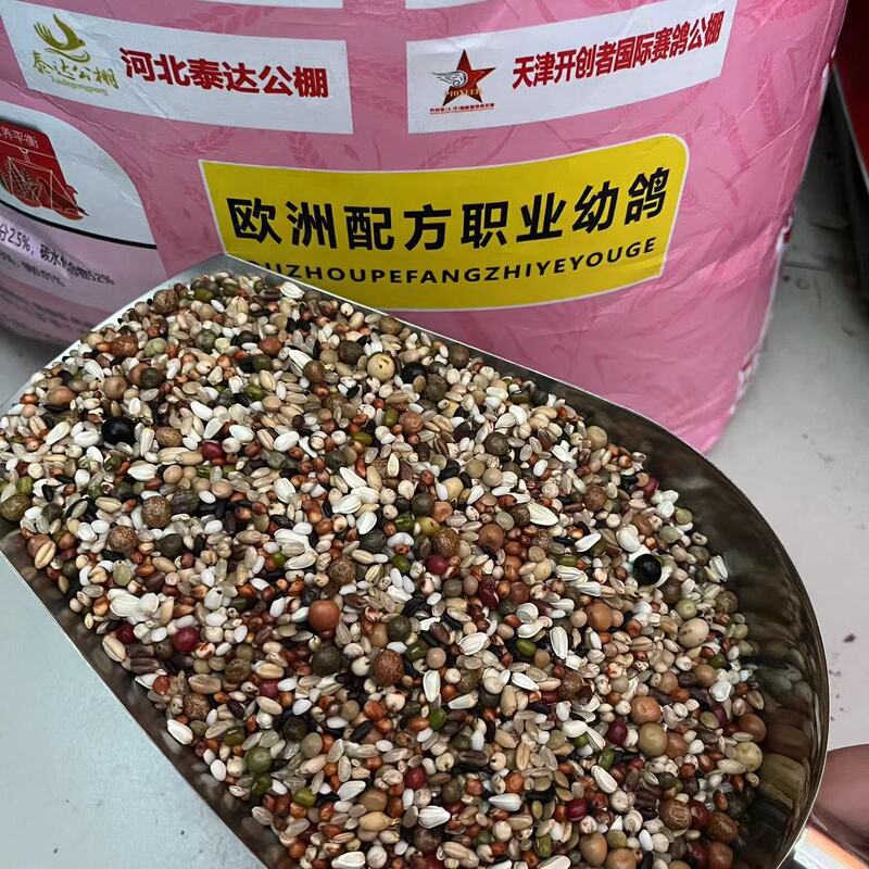 Shoujia Premium Professional Young Pigeon Food for Racing Pigeons Shoujia Premium Professional Young Pigeon Food for Racing Pigeons