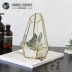 Chengyi creative Bắc Âu mô phỏng thực vật glass bìa trang trí mô hình phụ kiện nhà trang trí phòng khách món quà trang trí đồ trang trí nội thất Trang trí nội thất