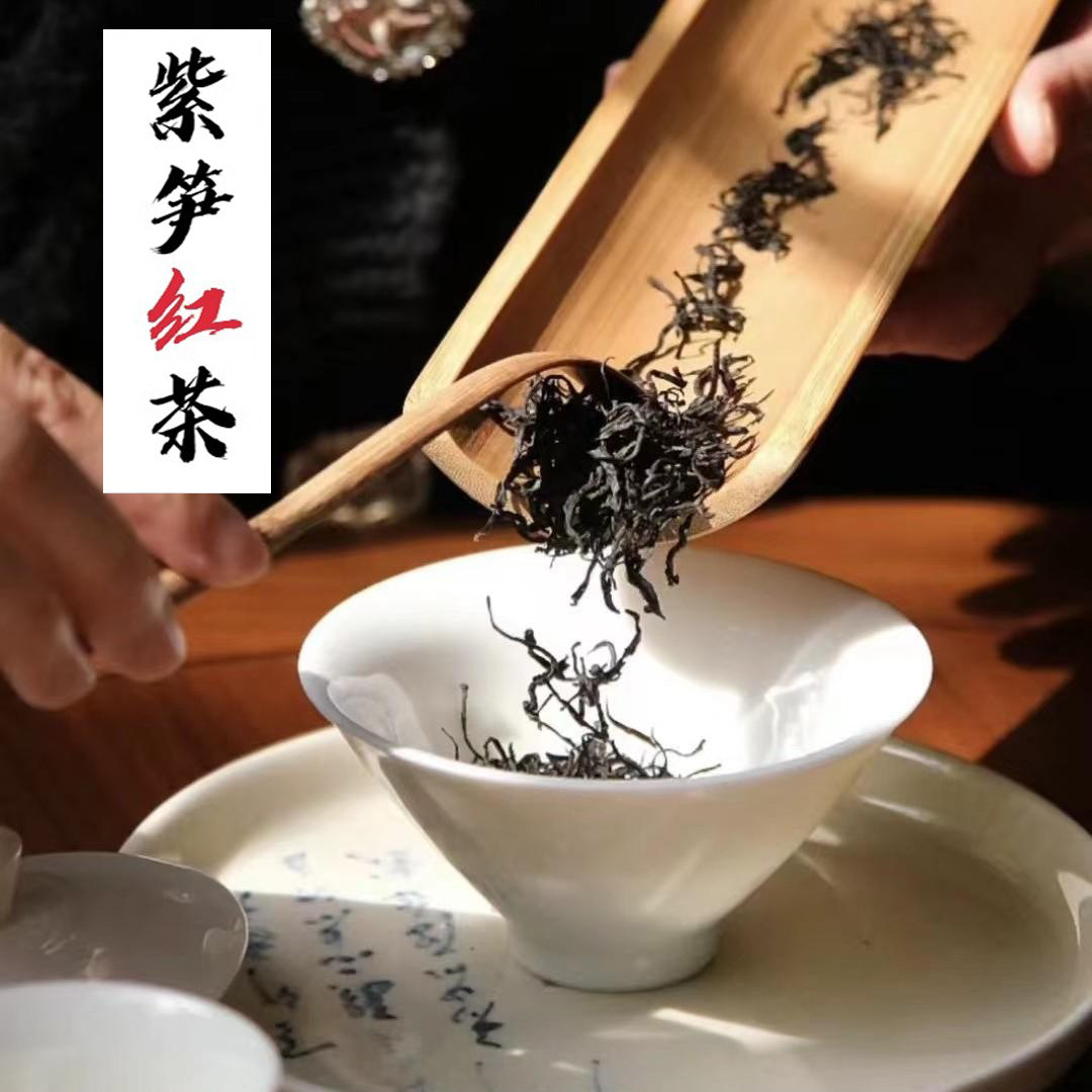 寒蘭-004 609-4H 紅無点×渚 苗 交配種 寒蘭-004 609-4H 紅無点×渚 苗