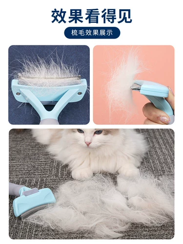 Кошка расчесывает специальное очиститель для волос с артефактом, чтобы удалить волосы щетки домашних животных, чтобы удалить волосы
