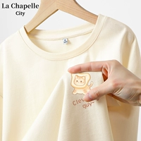 Абрикосовый кот к