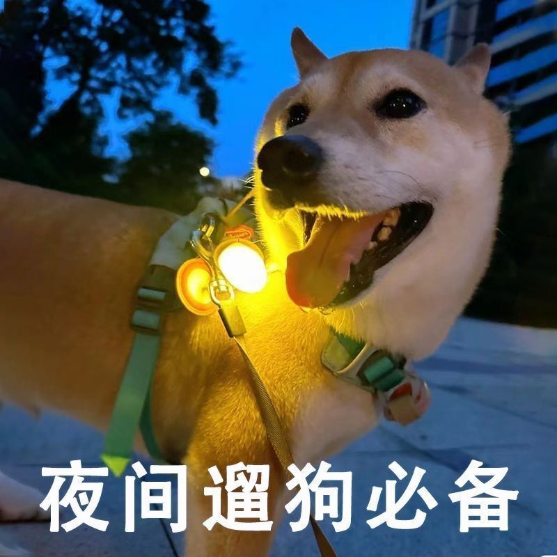 Puppy Night Glow Pendant Dog Collar Reflective Luminous Flashing Dog Walking Fluorescent Accessory with Bell Puppy Night Glow Pendant Dog Collar Reflective Luminous Flashing Dog Walking Fluorescent Accessory with Bell