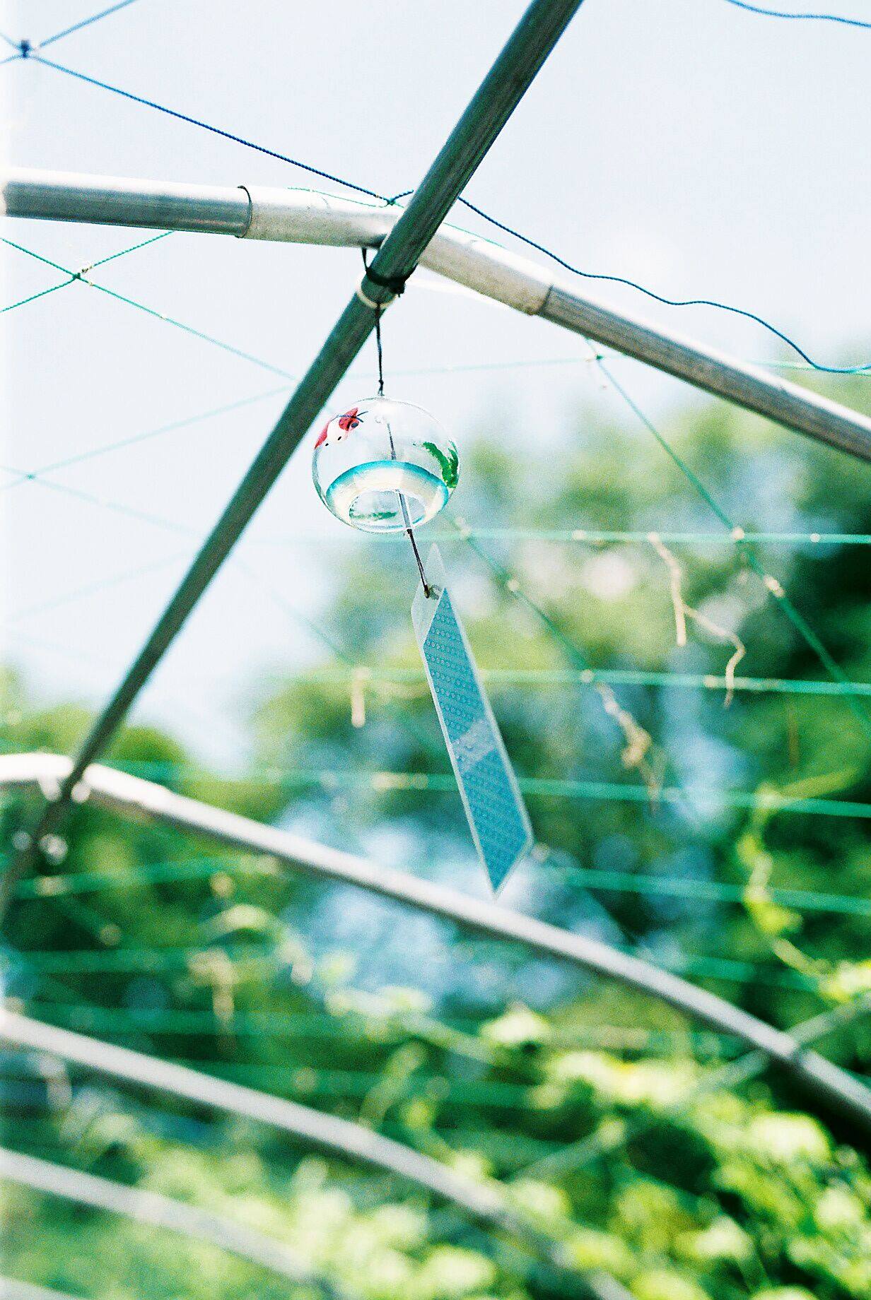 图片[16]-富士胶片配置文件预设 SP3000扫描仪胶片色调 PS/ACR 预设LR滤镜-cg男孩