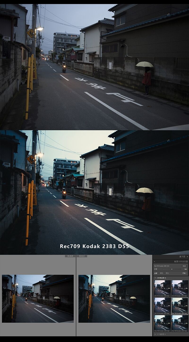 图片[7]-2383电影卷配置文件预设 LUTs 日系柯达胶片PS滤镜Camera Raw预设-cg男孩