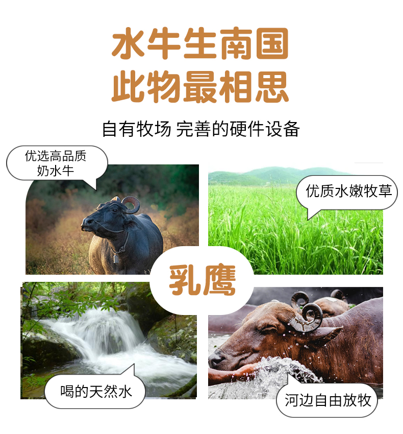 乳鹰 水牛纯牛奶 200ml*20盒 整箱装 图8