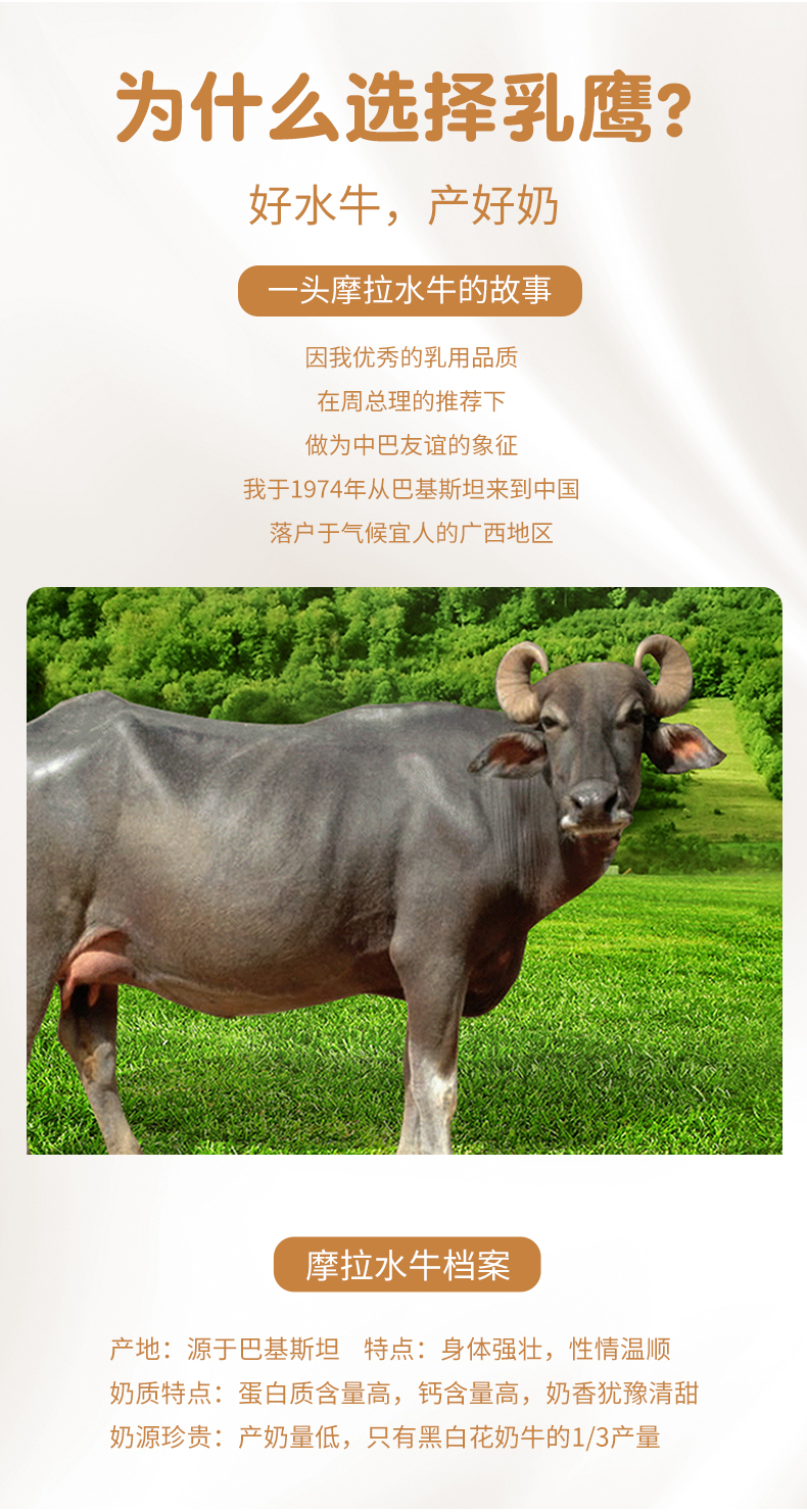 乳鹰 水牛纯牛奶 200ml*20盒 整箱装 图5