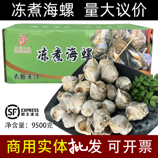 Fresh Live Sea Snail 19 Catty Whole Box Commercial Really Fresh Big Frozen Aquatic Seafood Shell Sea Snail Fresh