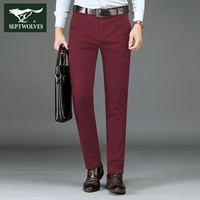 2888/2889 Толстая модель (не бархат) Jujube красный