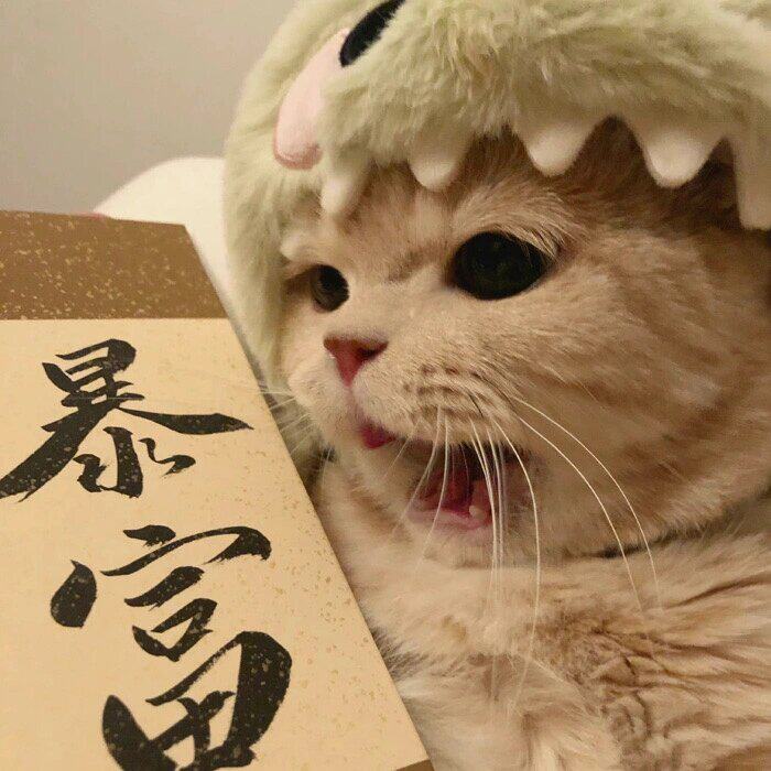 晞悦小西瓜