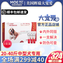 Great darling Love 10-20kg dog with Puppy gold hair repellent inside and outside body insect repellent Insect Repellent Drops