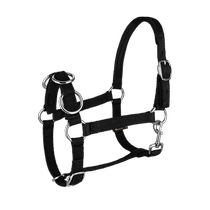 Cavassion training bridle black red horse training 8218008