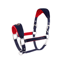 Cavassion Equestrian Bridle Leading Bridle Embroidered Model 8410004
