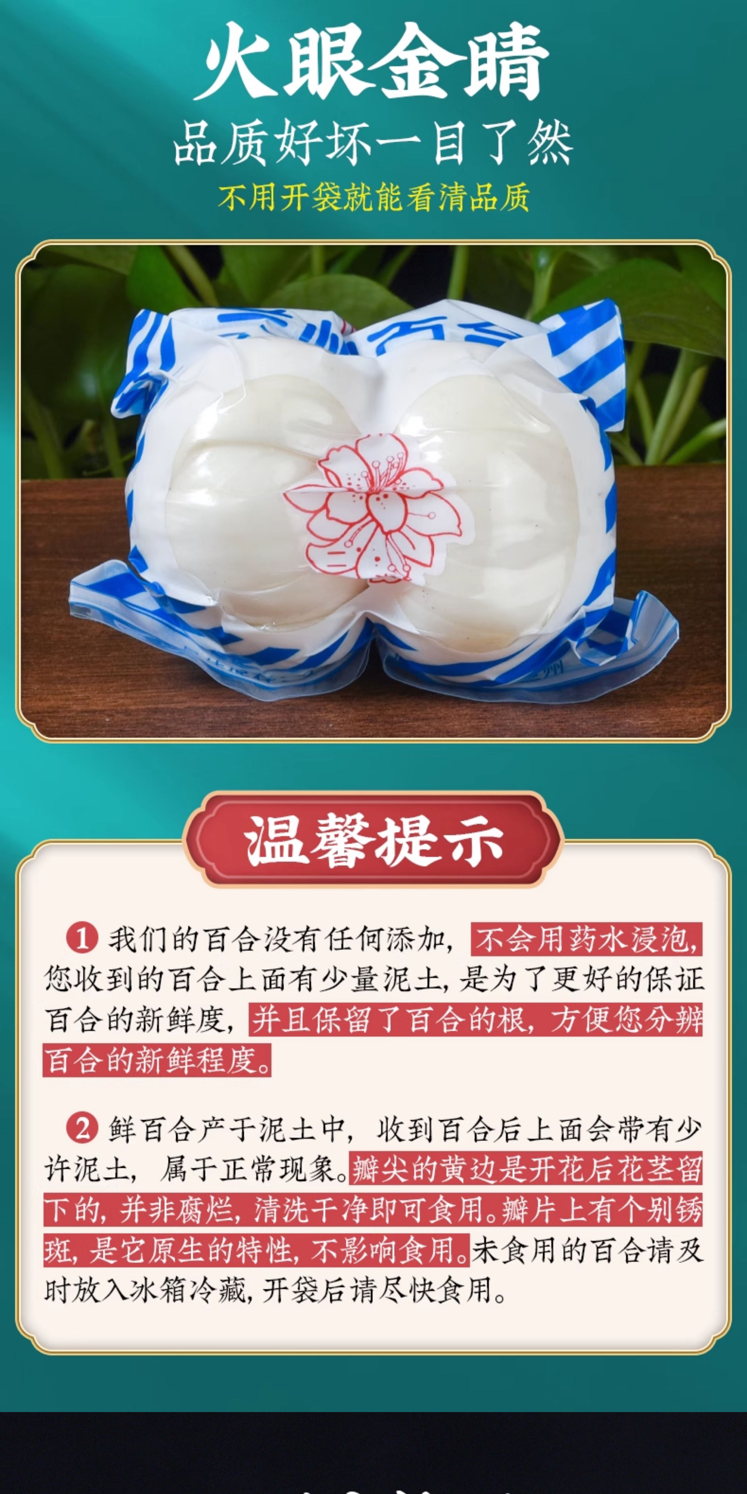 Fresh Lanzhou Lily Bulbs 500g Sweet Edible Bai He Premium Grade quality and texture