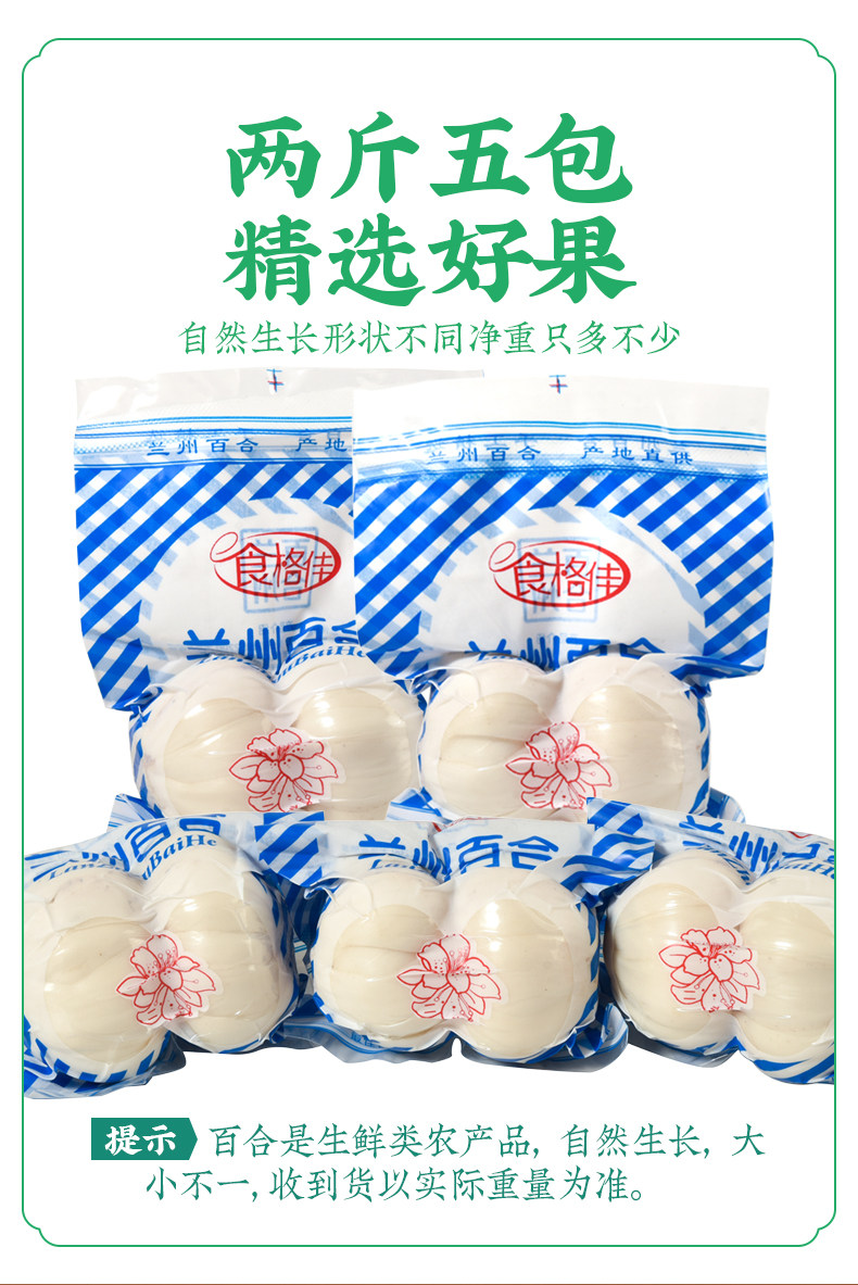 Fresh Lanzhou Lily Bulbs 500g Sweet Edible Bai He Premium Grade quality and texture