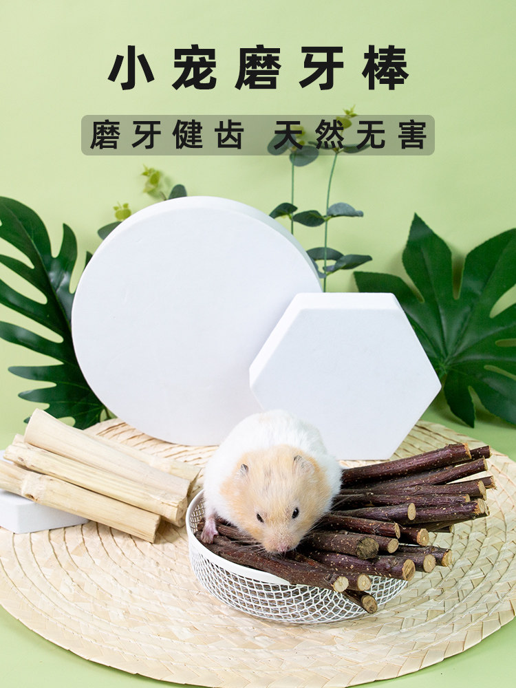 Hamster Grinding Tooth Rod Grindstone Supplies Rabbit Dragon Cat Dutch Pig Golden Silk Bear Grindstone Apple Branch Snacking Suit