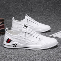 Tide cards 2022 Summer new mens shoes casual genuine leather small white shoes mens breathable one foot pedal flat shoes men