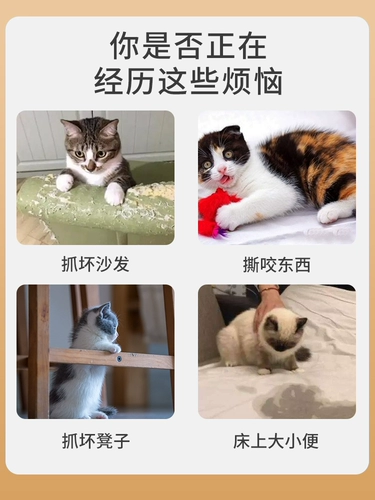 Управляйте артефактом кота, чтобы управлять артефактами кошек, чтобы не допустить, чтобы кошки не ложились спать и случайным образом тянуть мочу. Кошки ненавидят не нравится запах