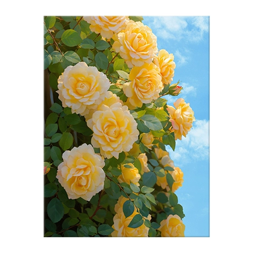 Цифровая раскраска для рисования, акрил, масляная краска, DIY, антистресс, новая коллекция