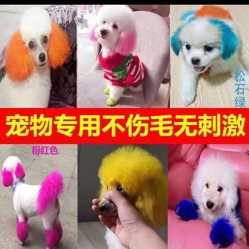 Pet Dye Hair Cream Dyed Hair pooch Dyed Hair Peach Pink pink Hair Cream Teddy Bib Bear Dyed hair Hair Cream