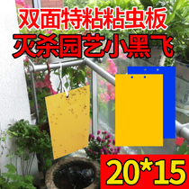 Sticky fly yellow board insect-proof gardening insect-proof board fruit tree sticky board vineyard yellow-blue one-month insect-proof board large