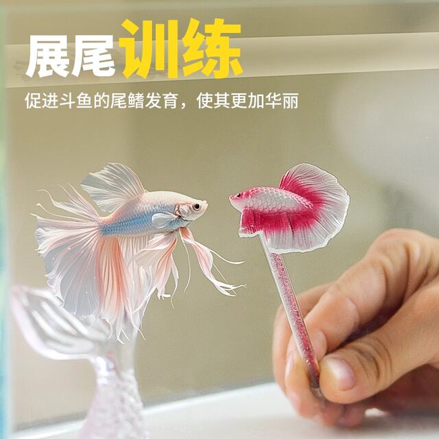 Thai Fighting Fish Teasing Stick, New Interactive Tool, Tropical Fish Ornamental Fish Physical Fitness Enhancement, Tank External Training Tool