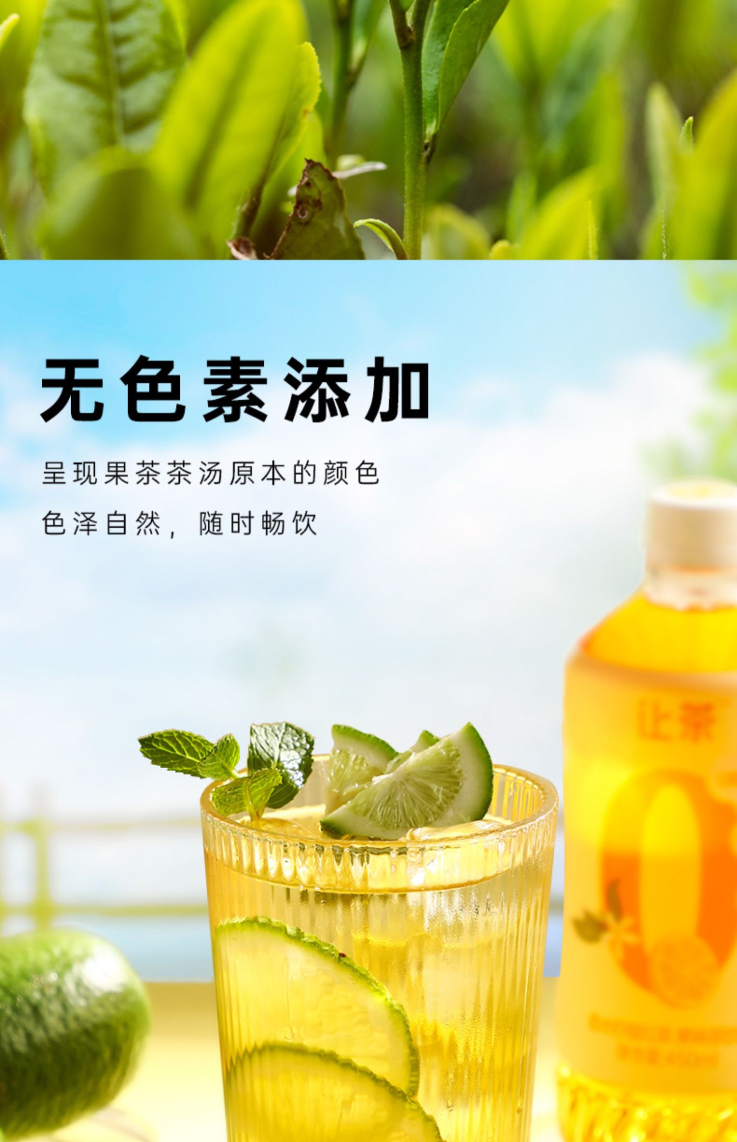 【让茶】无糖红茶450ml*6瓶