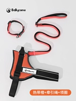 Апельсиновый набор из трех -грудные ремни+ремень+воротник] (30 провинция Юань)