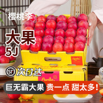 Chilean cherry Li 2 catties Li Zi super sweet cherry date honey Li Import Little Red Breen to make fruit when the season is fresh