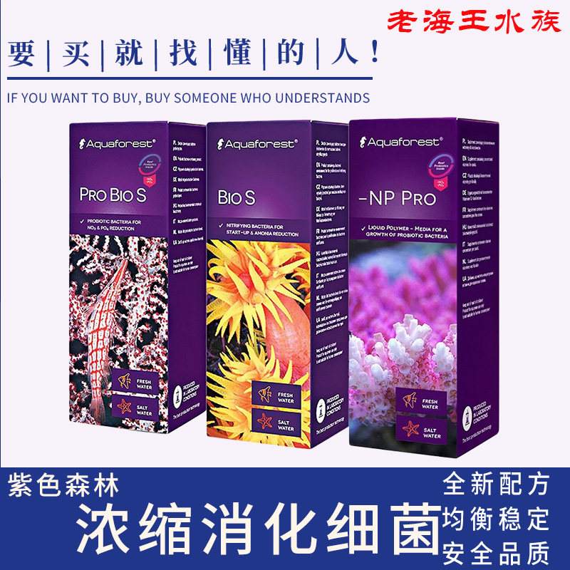 Poland imports purple forest nitrification bacteria fish tank with digestive bacteria live bacteria seawater probiotic growth aid