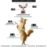 Золотой ретривер ножницы для волос clipper dog