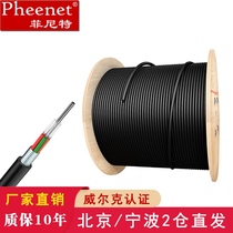 Pheenet outdoor single-mode 10G multi-mode optical cable overhead pipeline GYTA-4B1 3 GYTS layer twisted optical cable 12 cores 24 cores 48 cores 72 cores 96 cores 1