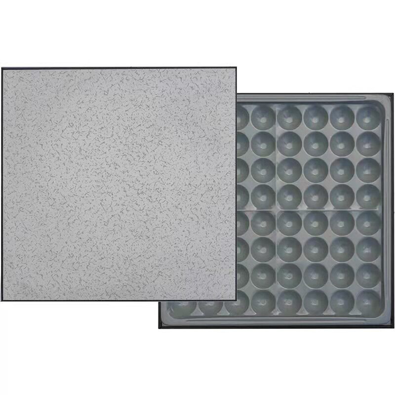 Board height 600 floor special all-steel floor school network anti-static overhead ceramic 600 anti-static * machine room - Taobao