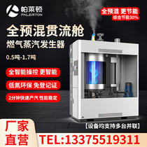 Paleton gas steam generator fully premixed liquefied gas energy-saving supervision-free liquefied gas commercial steam boiler