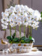 High-Quality Artificial Large Phalaenopsis Orchid Flower Arrangement Living Room Decoration Bionic Plastic Flower Fake Flower Dining Table Floral Decoration
