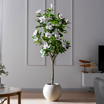 Large simulated magnolia fake plant potted indoor advanced bionic green plant living room decorative floor-standing ornaments