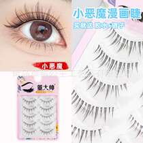 Deviruchi Fairy False Eyelaes Fairy Hair Transparent Terrier