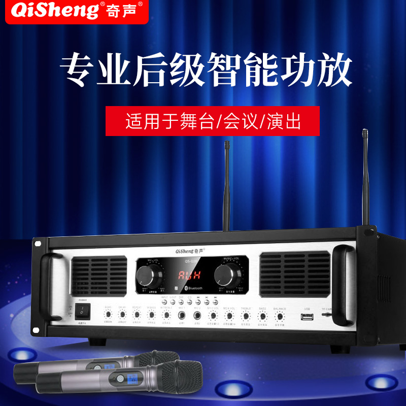 Qisheng Q28 High Power Professional Amplifier Home Karaoke Stage Show Heavy Bass