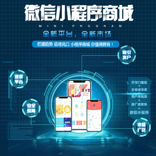 app手机软件开发(小程序积分商城)