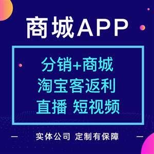 app软件开发定制(软件开发年终总结)