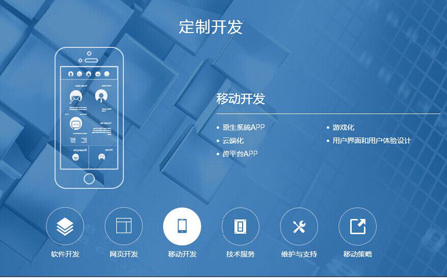 vue开发手机app(app开发定制制作)
