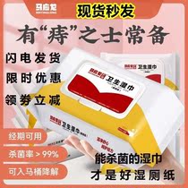Matong Wet Toilet Paper Care Sanitary Wet Towels for men and women Private wipe butts and clean affordable horses Toilet Paper