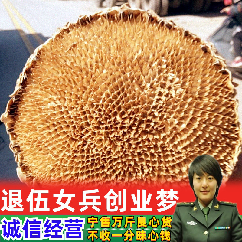 High-quality saline-alkali ground sunflower pan as whole Chinese herbal medicine dry to Japanese sunflower seed pan powder Jilin 500 gr-Taobao