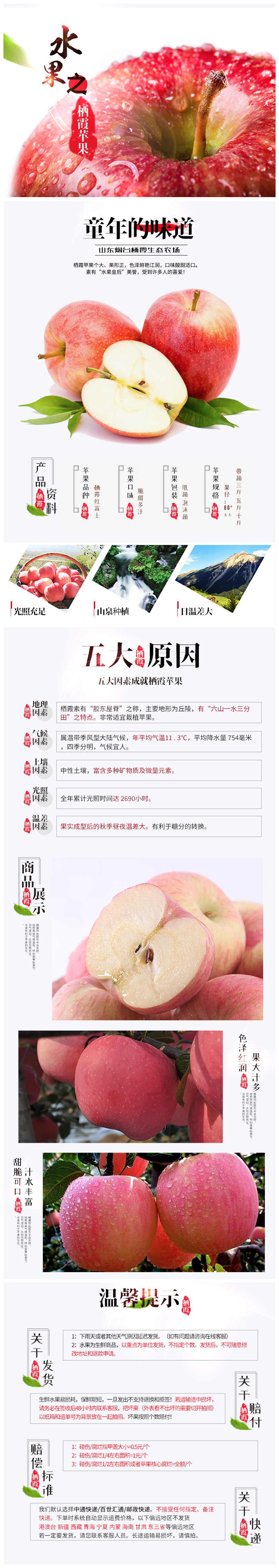 正宗烟台红富士苹果5斤装 图1