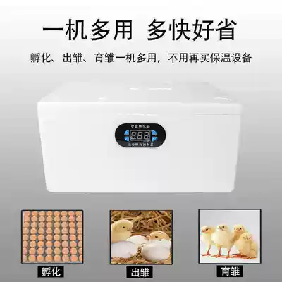 Incubator small household automatic intelligent incubator egg incubator chicken duck goose Quar water bed incubator