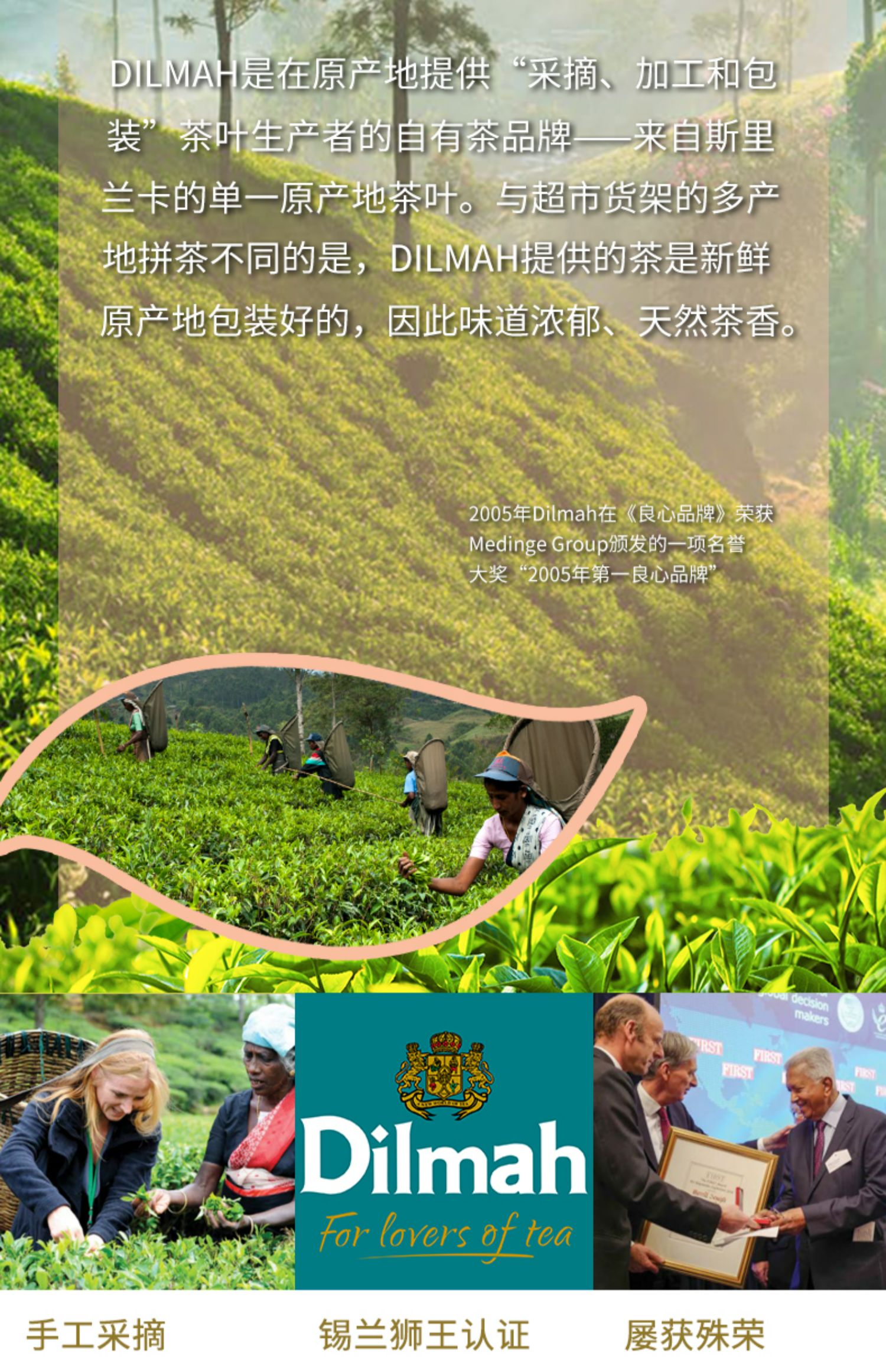 Dilmah迪尔玛蜜桃红茶包20袋冷泡茶