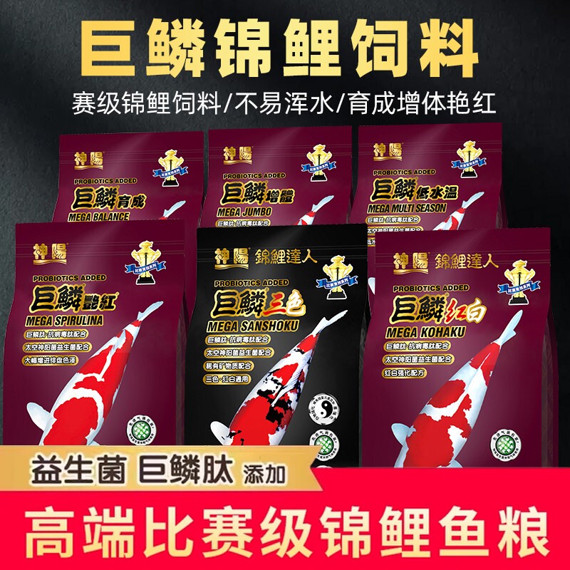 Shenyang Giant Scale Koi Feed Butterfly Carp High-Protein Competition Grade Special Fish Food Color Enhancement Body Growth Non-Turbid Water Fish Food